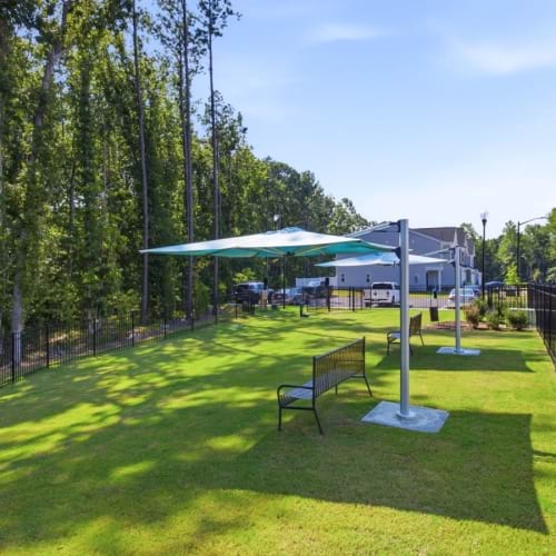 a fenced in green space with benches and umbrellas